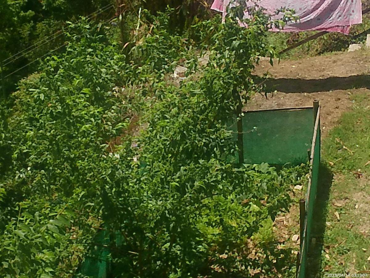 Mountain View Homestay Kalimpong Exteriör bild