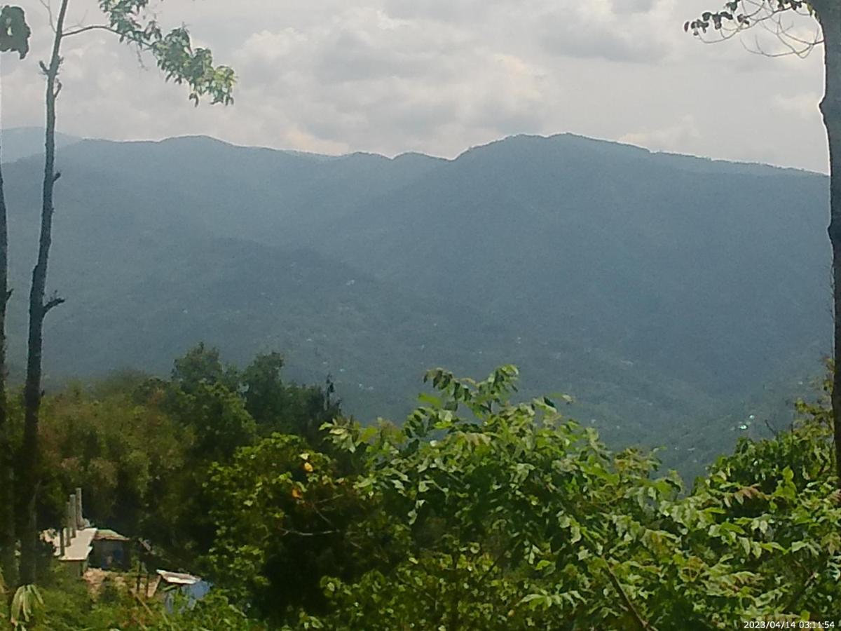 Mountain View Homestay Kalimpong Exteriör bild