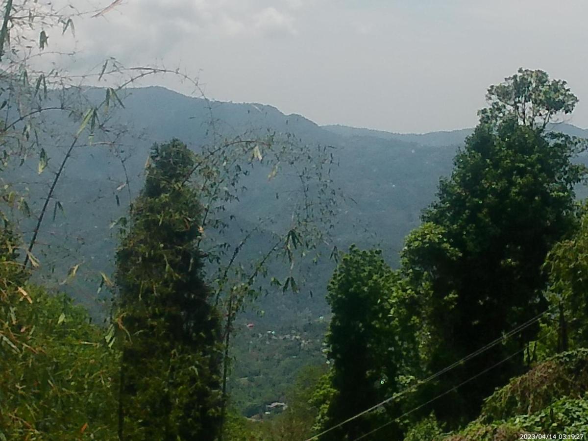 Mountain View Homestay Kalimpong Exteriör bild